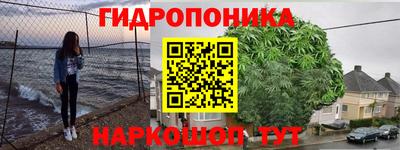 дурь Гусев