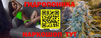 мяу мяу мука Гусь-Хрустальный